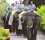 バリサファリ＆マリンパークの象のパレード